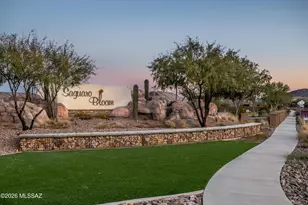 10064 N Cardon Grande Trail, Marana, AZ 85653 - Photo 44