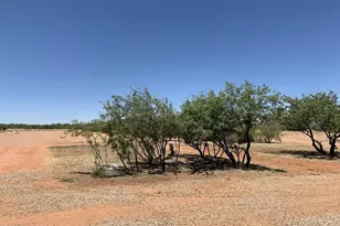 10193 E Windtalker Rd, Hereford, AZ 85615 - Photo 24