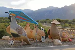 10875 N Poinsettia Dr, Tucson, AZ 85737 - Photo 48