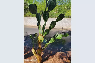 4145 N Via Villas, Tucson, AZ 85719 - Photo 44