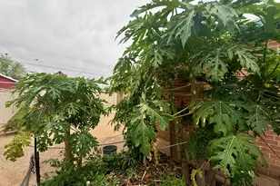 5110 E 26th St, Tucson, AZ 85711 - Photo 22