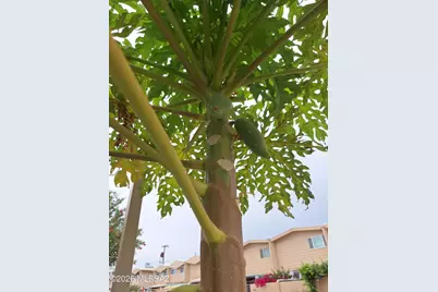 1725 S Jones Boulevard #H9, Tucson, AZ 85713 - Photo 34