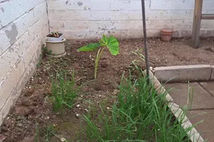 1725 S Jones Blvd, Tucson, AZ 85713 - Photo 36