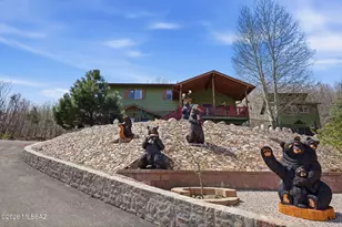 11060 E Carter Canyon Rd, Tucson, AZ 85619 - Photo 4