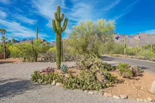 6501 N Avenida De Posada, Tucson, AZ 85718 - Photo 50