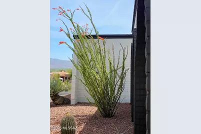 4641 N Rockcliff Road, Tucson, AZ 85750 - Photo 8