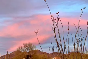 6799 W Cliff Spring Trail, Marana, AZ 85658 - Photo 4