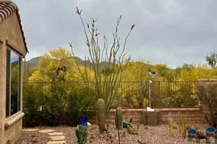 6799 W Cliff Spring Trail, Marana, AZ 85658 - Photo 30