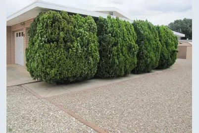 1002 E Irene Street, Pearce, AZ 85625 - Photo 24