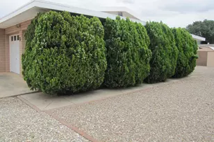 1002 E Irene St, Pearce, AZ 85625 - Photo 24