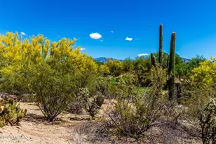 5117 W Desert Eagle Cir, Marana, AZ 85658 - Photo 36