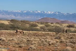 286 S Palm Rd, Pearce, AZ 85625 - Photo 46