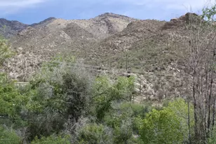 6655 N Canyon Crest Dr, Tucson, AZ 85750 - Photo 12