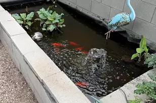 844 S Fremont Ave, Tucson, AZ 85719 - Photo 14