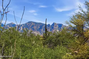 1915 Tortolita Mountain Cir, Oro Valley, AZ 85755 - Photo 40