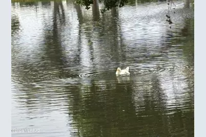 4550 N Flowing Wells Road #65, Tucson, AZ 85705 - Photo 30
