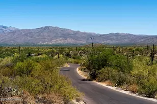 11042 S Guillermo Haro Dr, Vail, AZ 85641 - Photo 22