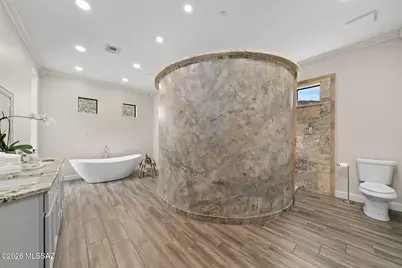 15251 N Dove Canyon Pass, Marana, AZ 85658 - Photo 20