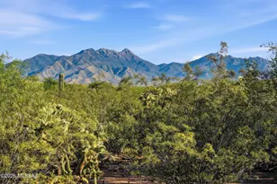 423 N Heritage Point Pl, Sahuarita, AZ 85629 - Photo 48