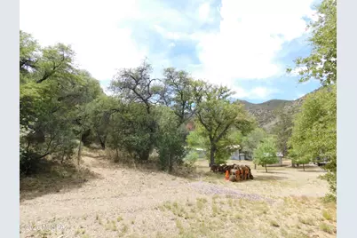 1697 Tombstone Canyon, Bisbee, AZ 85603 - Photo 42