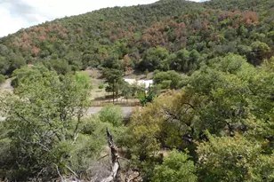 1697 Tombstone Canyon, Bisbee, AZ 85603 - Photo 50