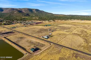 216 County Road 2311, Alpine, AZ 85920 - Photo 50