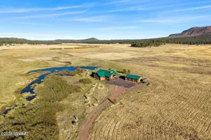 216 County Road 2311, Alpine, AZ 85920 - Photo 46