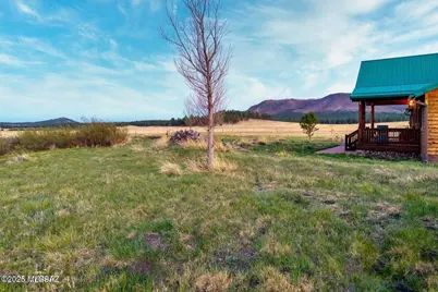 216 County Road 2311, Alpine, AZ 85920 - Photo 38