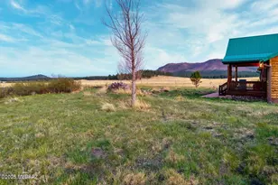 216 County Road 2311, Alpine, AZ 85920 - Photo 38