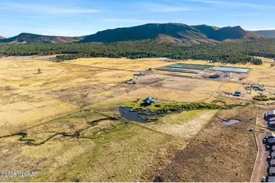 216 County Road 2311, Alpine, AZ 85920 - Photo 48