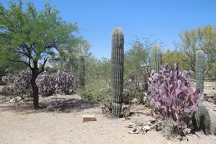 3950 S Deaver Rd, Tucson, AZ 85735 - Photo 12