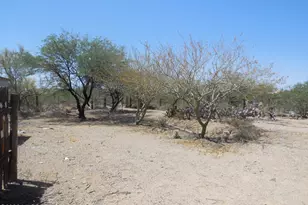 3950 S Deaver Rd, Tucson, AZ 85735 - Photo 10