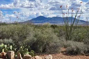 995 S Ruby Dare Rd, Bisbee, AZ 85603 - Photo 6