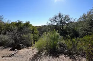 5855 N Kolb Rd, Tucson, AZ 85750 - Photo 28