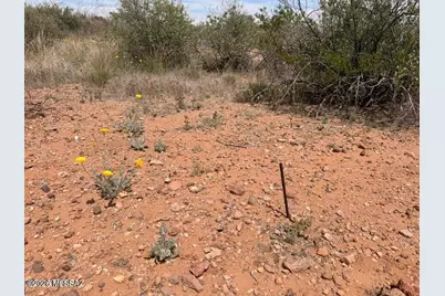 Lot 3940 N Valladolid Drive #3940, Douglas, AZ 85607 - Photo 6