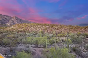 6510 N Tierra De Las Catalinas, Tucson, AZ 85718 - Photo 30
