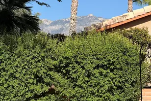 2349 E Agapanthus St, Oro Valley, AZ 85755 - Photo 24
