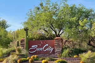 2349 E Agapanthus St, Oro Valley, AZ 85755 - Photo 28