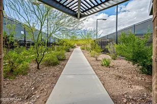 6990 W Cliff Spring Trail, Marana, AZ 85658 - Photo 44