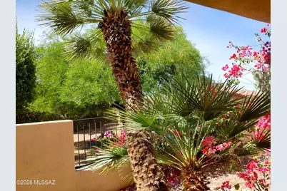 4592 E Red Mesa Drive, Tucson, AZ 85718 - Photo 6