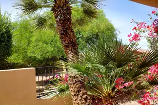 4592 E Red Mesa Dr, Tucson, AZ 85718 - Photo 6