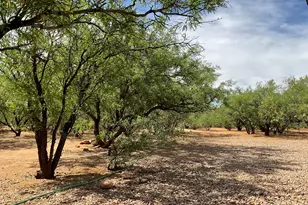 7011 S Pintek Ln, Hereford, AZ 85615 - Photo 12