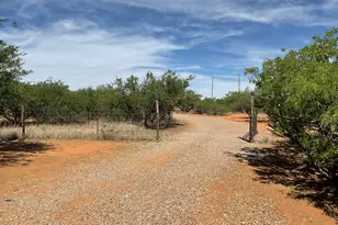 7011 S Pintek Ln, Hereford, AZ 85615 - Photo 16