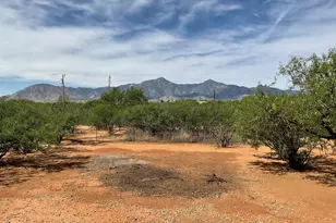 7011 S Pintek Ln, Hereford, AZ 85615 - Photo 22