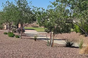 10686 W Whitehall Dr, Marana, AZ 85653 - Photo 46