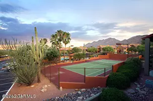 6651 N Campbell Ave, Tucson, AZ 85718 - Photo 18