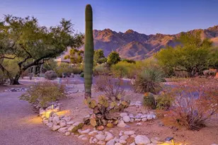 8234 E Big Horn Trl, Tucson, AZ 85750 - Photo 36