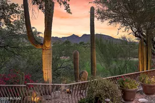 6200 N Desert Moon Loop, Tucson, AZ 85750 - Photo 4