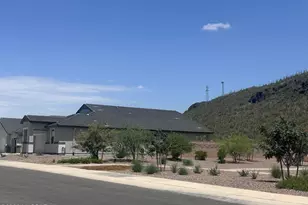 9922 N Blue Hibiscus Dr, Marana, AZ 85653 - Photo 2