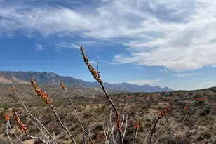 12 Acres S Golder Dam Rd, Saddlebrooke, AZ 85739 - Photo 1